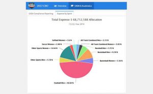 Expense Allocation by Sport