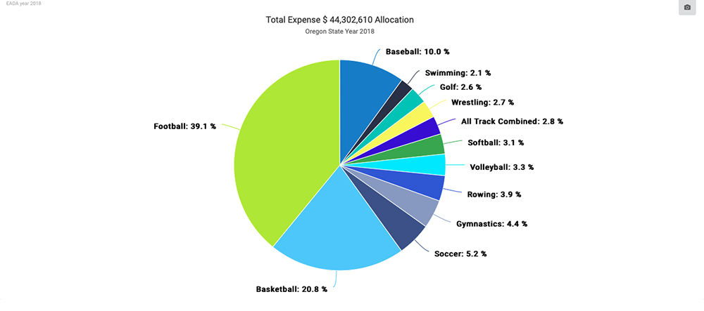 Expense Allocation by Sport